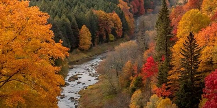 Синоптики сообщили о погоде на 14 октября