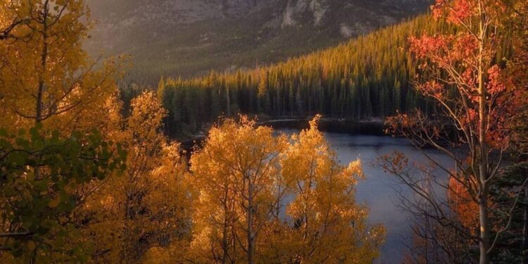 Синоптики сообщили о погоде на 16 октября