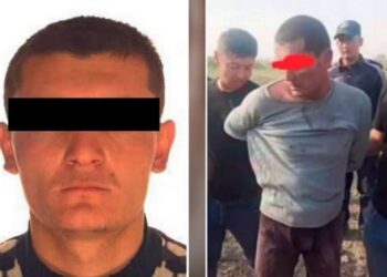 Сбежавший педофил напал на третьеклассницу в Ташкентской области