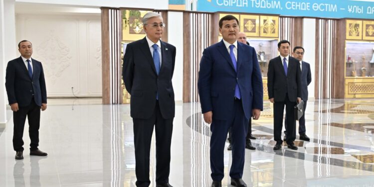 Токаеву доложили о о социально-экономическом развитии Кызылординской области