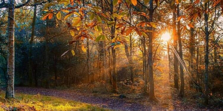 Какая будет погода 31 октября