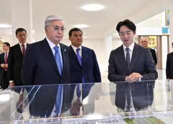 Президенту презентовали новые инвестпроекты Кызылординской области