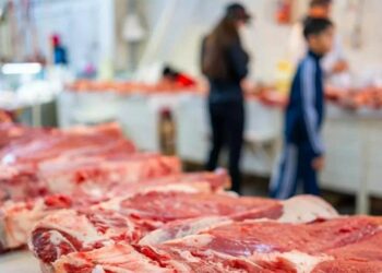 Мясо на столичный “Соғым-FEST” привезут фермеры из пяти областей Казахстана