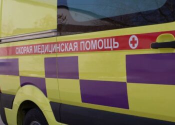 Трагедия на работе: 34-летняя женщина погибла, упав в зернохранилище в СКО