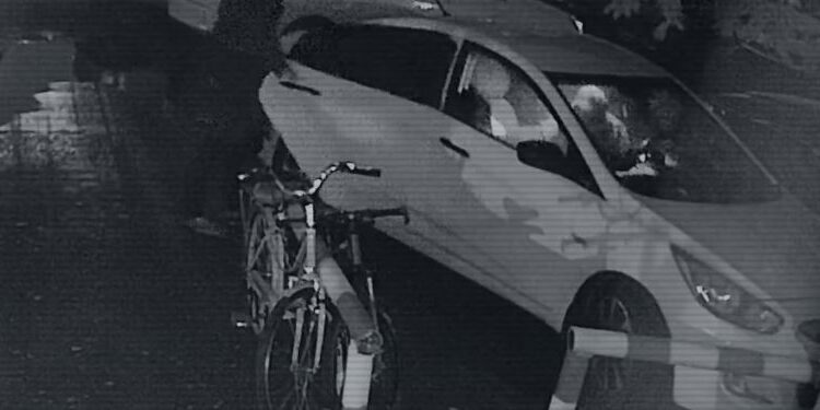 Убийство Яны Легкодимовой: полиция показала шокирующие кадры с места преступления