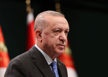 Эрдоган свяжется с Путиным, чтобы обсудить Украину