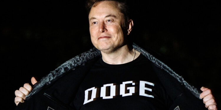 В США расформировали проект Илона Маска DOGE