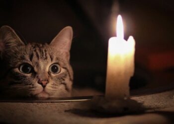 Кыргызстан ужесточает «закон о тишине»: власти запретили веселье после 22:00