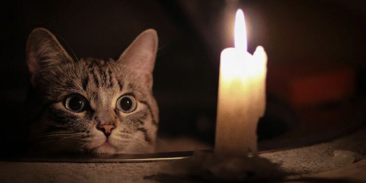 Кыргызстан ужесточает «закон о тишине»: власти запретили веселье после 22:00