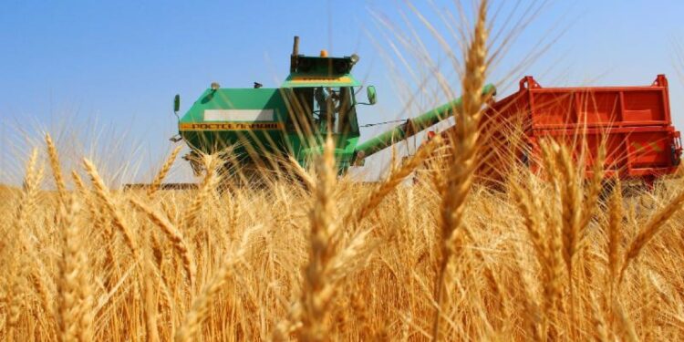 Президент призвал предпринимателей поддерживать развитие сел и регионов