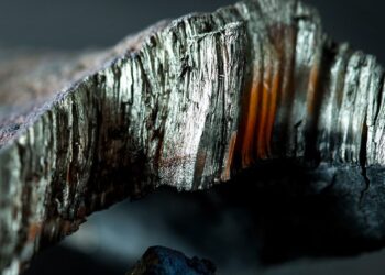 Мажилисмен рассказал о схеме неконтролируемого вывоза редкоземельных металлов