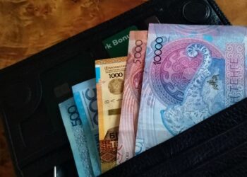 Ветераны, семьи погибших и жертвы ЧС: более 207 тыс. казахстанцев получают специальное госпособие