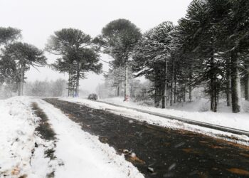 Штормовое предупреждение: метель и морозы ожидаются в Казахстане