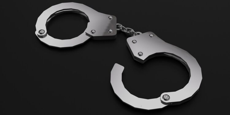 Ограбление Лувра: арестованы ещё четыре человека