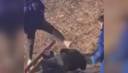 Минздрав опроверг видео о «брошенном» пациенте (ВИДЕО)