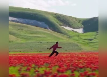 Казахстан попал в ленту официального Instagram (ВИДЕО)