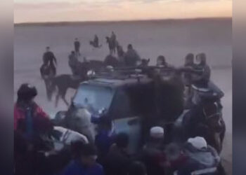 Машина влетела в участников кокпара в Кызылординской области (ВИДЕО)