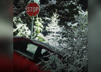 17 ДТП за ночь: первый снег спровоцировал волну аварий в Алматы