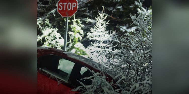 17 ДТП за ночь: первый снег спровоцировал волну аварий в Алматы