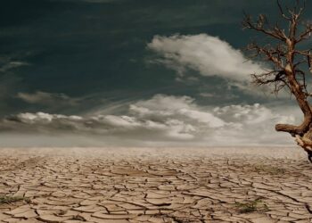 Всё настолько тяжело? В Минэкологии сообщили о климатических изменениях