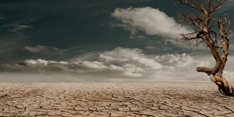 Всё настолько тяжело? В Минэкологии сообщили о климатических изменениях