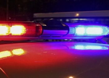 Полиция задержала уличного “стриптизёра” в Павлодаре (ВИДЕО)