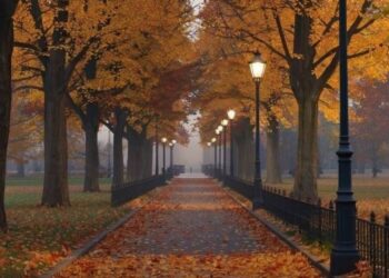 Синоптики сообщили, какая будет погода 4 ноября