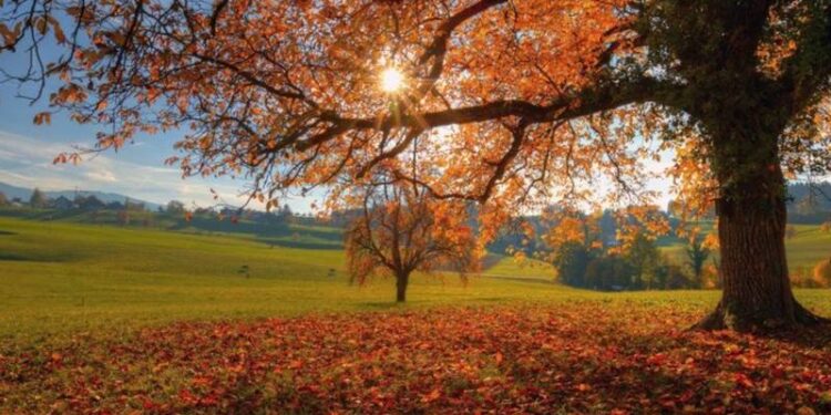 Синоптики рассказали о погоде на 5 ноября