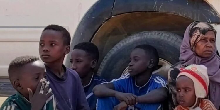 ООН сообщила о массовом насилии против мирных жителей в Судане