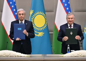 Редкоземельные металлы и трансграничные реки: о чём договорились Токаев и Мирзиёев?