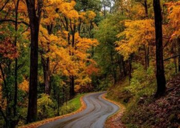 Какая погода будет 17 ноября