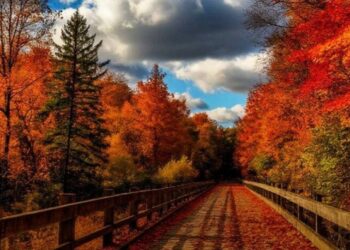 Синоптики рассказали о погоде на 18 ноября