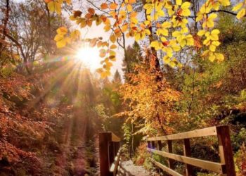 Какая погода будет 19 ноября