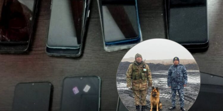 Гвардеец с собакой нашёл 8 телефонов, спрятанных в угле возле тюрьмы