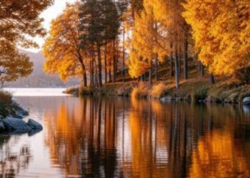 Синоптики рассказали о погоде на 25 ноября