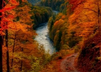 Какая будет погода в Казахстане 26 ноября