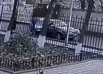 Принуждение к браку: с начала действия новых поправок задержаны 15 человек