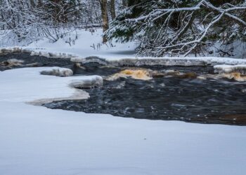 Трое детей провалились под лёд: в Кокшетау нашли спасшего их героя (ВИДЕО)