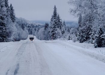 Снег и дождь на трассах: водителей просят соблюдать осторожность