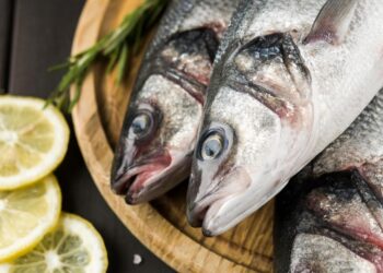 Фиктивный экспорт 75 тонн рыбы в Европу: аферу раскрыли в Кызылорде