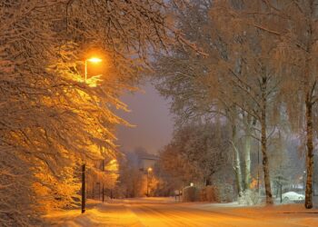 В Алматы выпал первый снег (ВИДЕО)