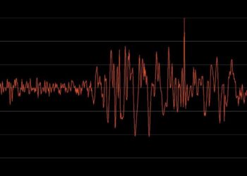 Землетрясение почувствовали жители юга Казахстана