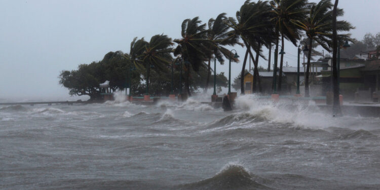 Число погибших из-за тропического шторма на Шри-Ланке возросло до 643 (ВИДЕО)