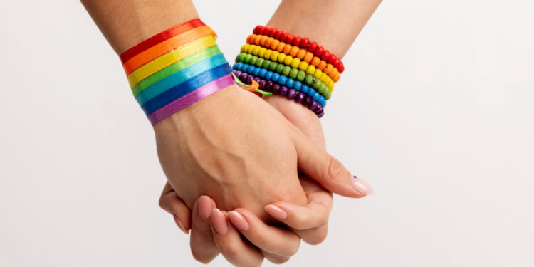 Сенат принял поправки о запрете пропаганды ЛГБТ в первом чтении