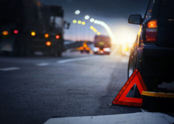 Лошадь спровоцировала смертельное ДТП: погибли два человека (ВИДЕО)