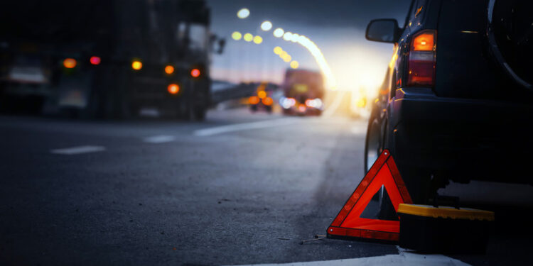 Лошадь спровоцировала смертельное ДТП: погибли два человека (ВИДЕО)