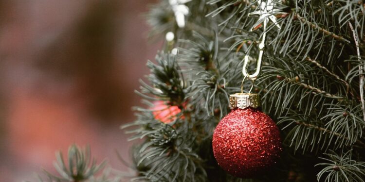 Столица засияет: более 40 новогодних елок зажгутся одновременно (ВИДЕО)