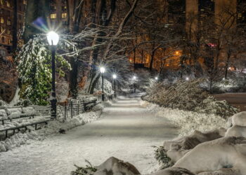 Погода на первые дни декабря: в некоторых регионах ожидается плюс 10-13 градусов