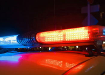 Вся квартира в крови: полиция Алматы прокомментировала жуткое видео из соцсетей