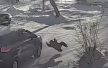 Водитель в Риддере сбил ребёнка и уехал (ВИДЕО)